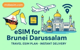 eSIM for Brunei Darussalam