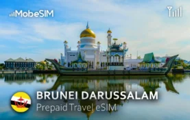 eSIM for Brunei Darussalam